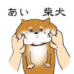 [LINEスタンプ] 【あい】の柴犬