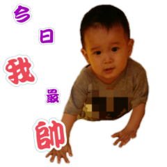 [LINEスタンプ] 私の家庭は本当にかわいいです