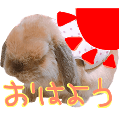 [LINEスタンプ] うさぎのお嬢たん！