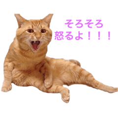 [LINEスタンプ] まやたん