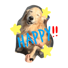 [LINEスタンプ] 愛犬 コロン