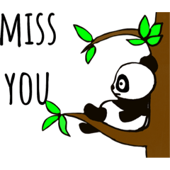 [LINEスタンプ] Panda lover (English )