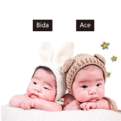 [LINEスタンプ] Ace ＆ Bida