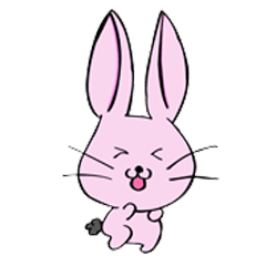 [LINEスタンプ] Bunny Kato