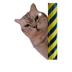 [LINEスタンプ] Emotional cat gofy ＆ mochi