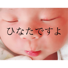 [LINEスタンプ] ひなた始めてみました。