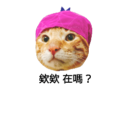 [LINEスタンプ] I'm orange cat