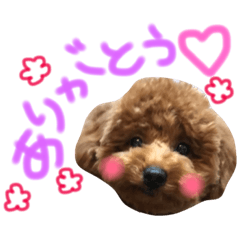 [LINEスタンプ] 廣吉mocoと申します