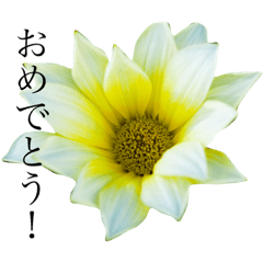 [LINEスタンプ] ありふれ花