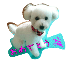 [LINEスタンプ] メルさん 3