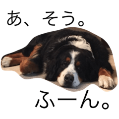 [LINEスタンプ] バーニーズ サリバン