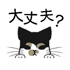 [LINEスタンプ] 三毛猫は尋ねたい