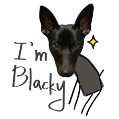 [LINEスタンプ] I'm blacky.