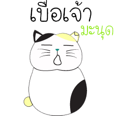 [LINEスタンプ] Cat Cat_