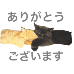 [LINEスタンプ] 返事シリーズ2