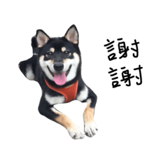 [LINEスタンプ] Kuca blackshiba dairy