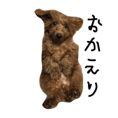 [LINEスタンプ] ぷーたろー