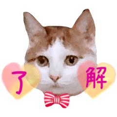 [LINEスタンプ] ベル．K