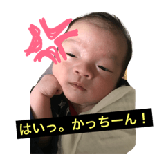 [LINEスタンプ] りりと様スタンプ