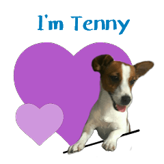 [LINEスタンプ] I'm Tenny
