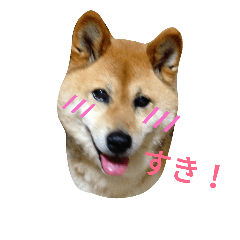 [LINEスタンプ] らんはんこ。