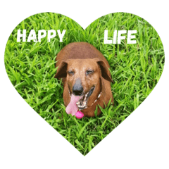 [LINEスタンプ] DuDu happy life