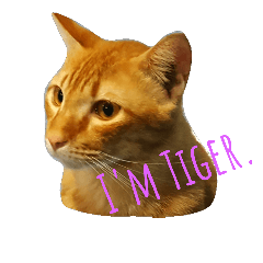 [LINEスタンプ] I'm Tiger.