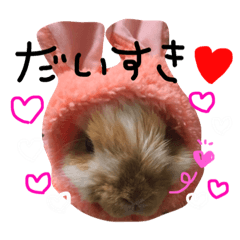 [LINEスタンプ] うさぎのてぃーる