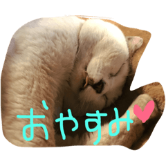 [LINEスタンプ] まるにゃんと仲間たち