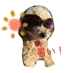 [LINEスタンプ] 動物 家族 ワンコニャンコ