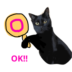 [LINEスタンプ] 黒猫ちゃこ