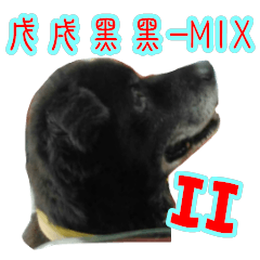 [LINEスタンプ] Taiwanese Dog II