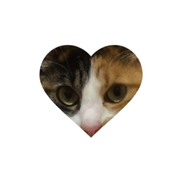 [LINEスタンプ] 三毛猫やや2