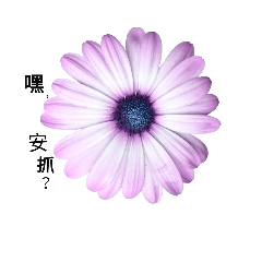 [LINEスタンプ] Hua Flower