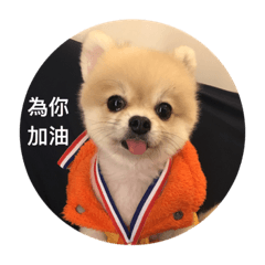 [LINEスタンプ] Lovely Pomeranian PomPom Meatball Hope