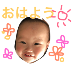 [LINEスタンプ] めいのすけ