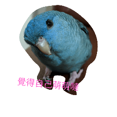 [LINEスタンプ] Baboo, the linnie.