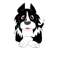 [LINEスタンプ] ボーダーコリー 犬