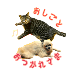 [LINEスタンプ] ver.86の猫と犬