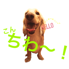 [LINEスタンプ] 短足ブラザーズ☆使えそうな(？)つぶやき