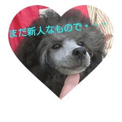 [LINEスタンプ] okada's dog1