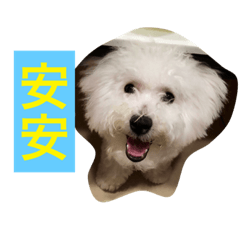 [LINEスタンプ] My dogs ＆ my life