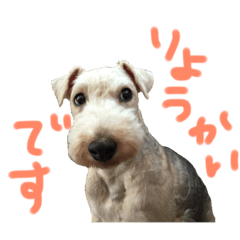 [LINEスタンプ] あねらと愉快な仲間達