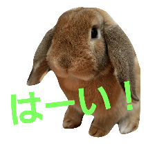 [LINEスタンプ] もこちスタンプ4