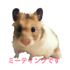 [LINEスタンプ] Hamster Work