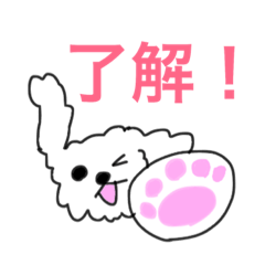 [LINEスタンプ] プードルちゃんのスタンプ