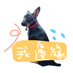 [LINEスタンプ] LuLu doggg