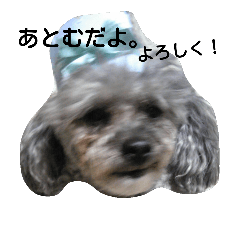 [LINEスタンプ] dog.com