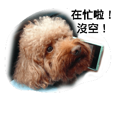 [LINEスタンプ] Jump Dog