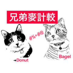 [LINEスタンプ] Two arguing cats -1